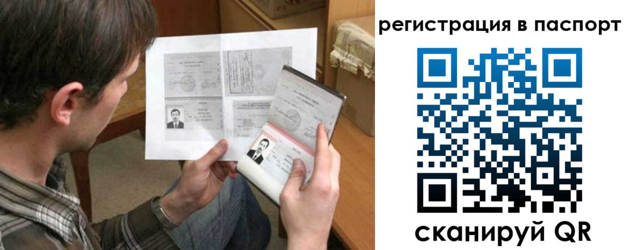 временная регистрация гарантия в Елизово